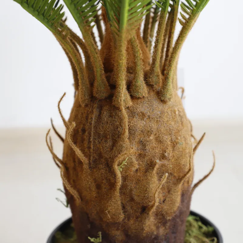 Artificial Cycas Sago Bonsai P - Home Decor Handicraft ulasan dan harga