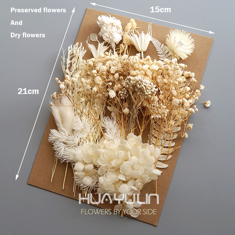 1 Pack Artificial Plants Dried - Home Decor Handicraft ulasan dan harga